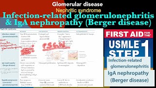 Nephritic syndrome Infectionrelated glomerulonephritis amp IgA nephropathy Berger disease in Hindi [upl. by Guss]