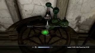 Skyrim  Fortify Restoration glitch side effect Messes wCarry Weight [upl. by Onurb629]