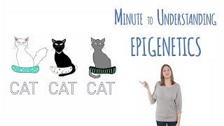 What is epigenetics [upl. by Goddard]