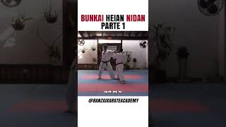 Bunkai Heian Nidan parte 1 [upl. by Anir348]