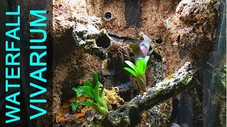 Vivarium Waterfall Build [upl. by Philipps]