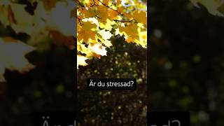 Vägen till verklig vila och frid kristen avslappning shorts jesus stress stressad oro [upl. by Anrahc140]