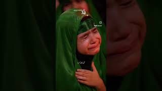 AKELI HAI ZEHRA SA Farhan Ali  Noha 2022  shorts shortvideo [upl. by Rhianna]