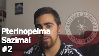 PTERINOPELMA SAZIMAI  2 CRECIMIENTO ALIMENTACIÓN Y COMPORTAMIENTO [upl. by Eedna]