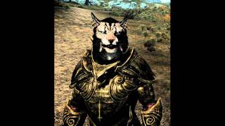 Skyrim Sounds  Some Khajiit Voices Male [upl. by May804]