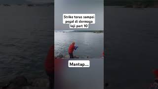 Mancing baronang jalu di dermaga loji pelabuhan ratu [upl. by Leahcim]