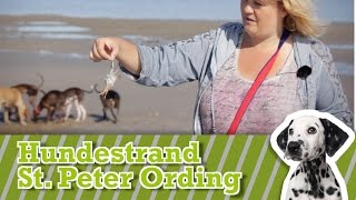 Urlaub mit dem Hund Reisetipp HundeStrand in St Peter Ording Nordsee [upl. by Eednil]