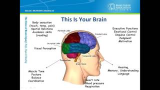 Brain Injury Basic Information About a Complex Disability [upl. by Watts865]