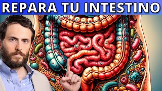 Todo lo que necesitas para reparar tus INTESTINOS con Escuela de Salud Integrativa [upl. by Merchant]