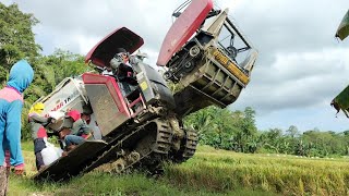 combine padi yanmar yh850 full HD jumping nih boss senggol donk [upl. by Ahel]