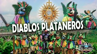 EL VIGÍA  DIABLOS DANZANTES PLATANEROS DE EL VIGÍA ESTADO MERIDA [upl. by Karlow58]