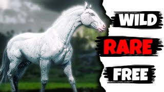 5 Rare Wild Horses to Get Early in the Game  RDR2 [upl. by Portie]