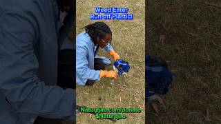 RUNNING WEED EATER off of PLASTIC GASOLINE ⛽️ science naturejab education foryoupage fyp [upl. by Edla]