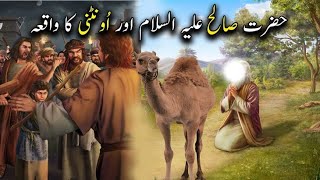 Hazrat swaleh AS aor oontni ka waqiaswaleh ke qoam par Allah pak ka Azab [upl. by Tobiah]