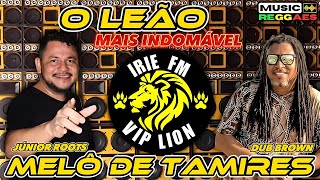 MELÔ DE TAMIRESNOVA IRIE FM VIP LION [upl. by Oilegor]