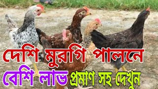 দেশি মুরগি পালনে লাভ বেশি  দেশি মুরগিতে বেশি লাভ  দেশি মুরগি পালন [upl. by Ladd]