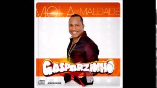 Gasparzinho  Pout Pourri Sucessos VERÃO 2015 [upl. by Gloria242]