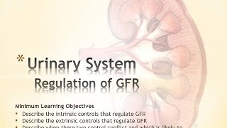 Regulation of GFR [upl. by Hausner640]