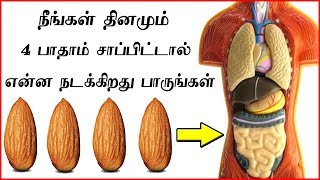 தினம் பாதாம் சாப்பிடுவதால் நிகழும் அதிசயங்கள்  Top Health Benefits of Almonds Badam [upl. by Hessler]