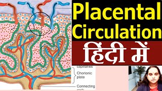 Placental Circulation in Hindi  Nursing Lecture [upl. by Brahear485]