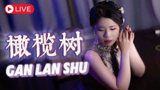 Gan Lan Shu【橄榄树】Live Performance  Yenyen Zhang 张优嫣 [upl. by Libbie]