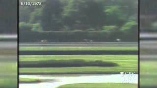 Watch Affirmed completes the Triple Crown in 1978 [upl. by Nade]