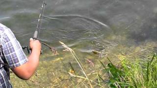 Vimmi catching a fish at Okanagan Falls [upl. by Nauhs]