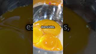 ¡La verdad sobre la yema del huevo 🥚 [upl. by Notgnilra]