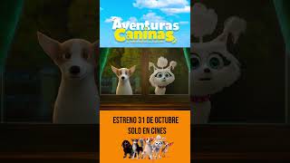 AventurasCaninas El Misterio De La Corona 🐾 Estreno 31 de octubre Solo en cines [upl. by Annek]