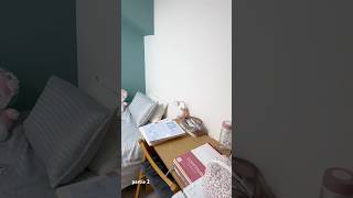 Comment organiser une chambre de 7m2 japantravel vlog dayinmylife tokyo roommakeover roomtour [upl. by Emyaj]