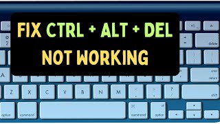 How ti Fix Ctrl  Alt  Delete Not Working in Windows 11 [upl. by Gaven359]