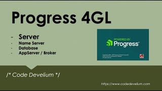 4 Progress 4GL Configurar NameServer Database y AppServer Broker [upl. by Ayk929]