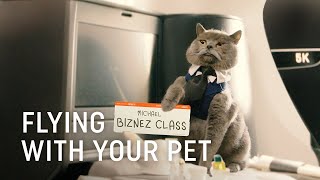 Flying with Your Pet  Turkish Airlines [upl. by Intirb]