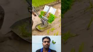 🤔நெல் நடவு மெஷின்⁉️  Paddy Transplanter Machine 💯 trending paddy transplanter machine shorts [upl. by Ayahs]