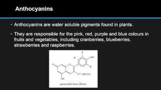 F43 Describe the range of colours and sources of the naturally occurring pigments [upl. by Susana]