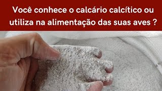 Vocês conhecem o calcário calcítico ou utiliza na alimentação das suas aves [upl. by Aretahs584]