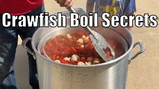 Easy Peel Boiled Crawfish crawfish beardedbbq129 backyardboil boiledcrawfish [upl. by Hiltner628]