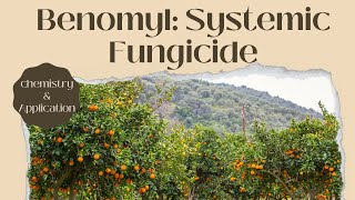 Understanding Benomyl A Comprehensive Overview of this Systemic Fungicide [upl. by Laden]