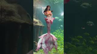 song bollywood love music hindisong bollywoodsongs disneymermaid disneymoviesong [upl. by Artair]