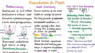 Parthenocarpy  Seed dormancy  Fruit set and fruit ripening  class 12 [upl. by Frankel]