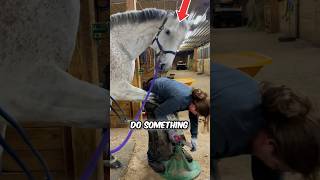 Girl Helps Poor Horse 😍 [upl. by Yahs]