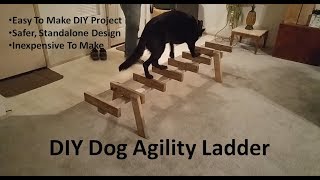 DIY Dog Agility Ladder [upl. by Hsital]