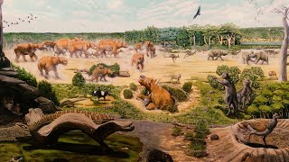 Prehistoric Australia A Land of Unique and Bizarre Animals [upl. by Assilen]