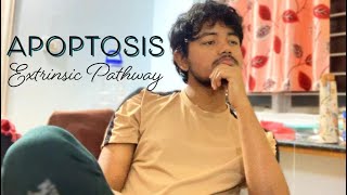 APOPTOSIS EXTRINSIC PATHWAY  DEATH DOMAIN  PATHOLOGY  MBBS [upl. by Itak]