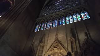 Arquitetura Gótica Catedral de Notre Dame Paris Rosácea e vitrais coloridos [upl. by Alic798]