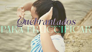 🍎 QUEBRANTADOS PARA FRUCTIFICAR 🍎 [upl. by Eimas]