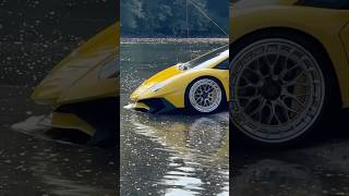 Thirsty Lamborghini car shorts lamborghini viralvideo [upl. by Ecyar]