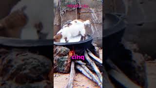 Un mouton or du commun 😂😂😂 viralvideo explore mouton eating shorts [upl. by Prakash]