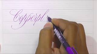 PAScribe Copperplate  Brushpen 01  Spongy [upl. by Aicele]