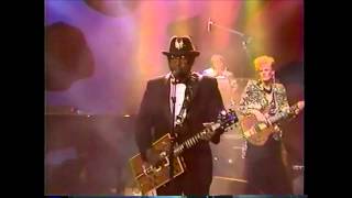 Bo Diddley  Who Do You Love 1987 [upl. by Acinat]